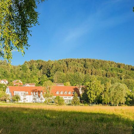 Landhotel Alte Muhle Ostrach Zewnętrze zdjęcie