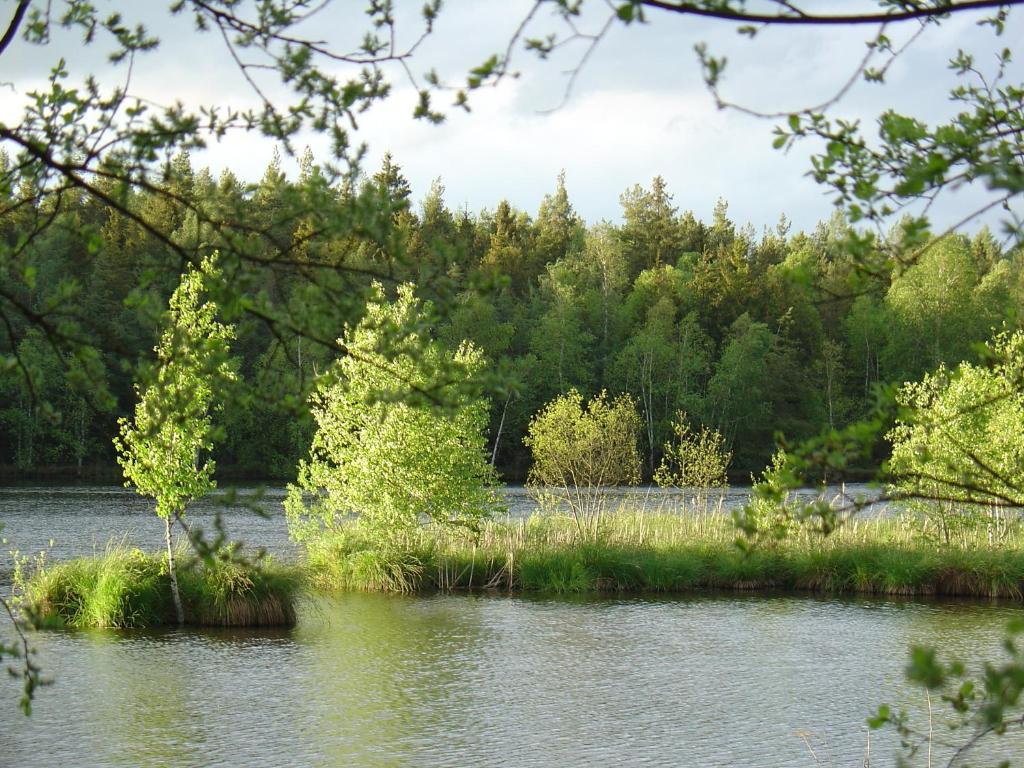 Landhotel Alte Muhle Ostrach Zewnętrze zdjęcie