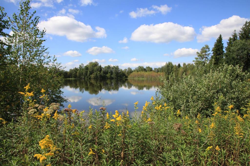 Landhotel Alte Muhle Ostrach Zewnętrze zdjęcie