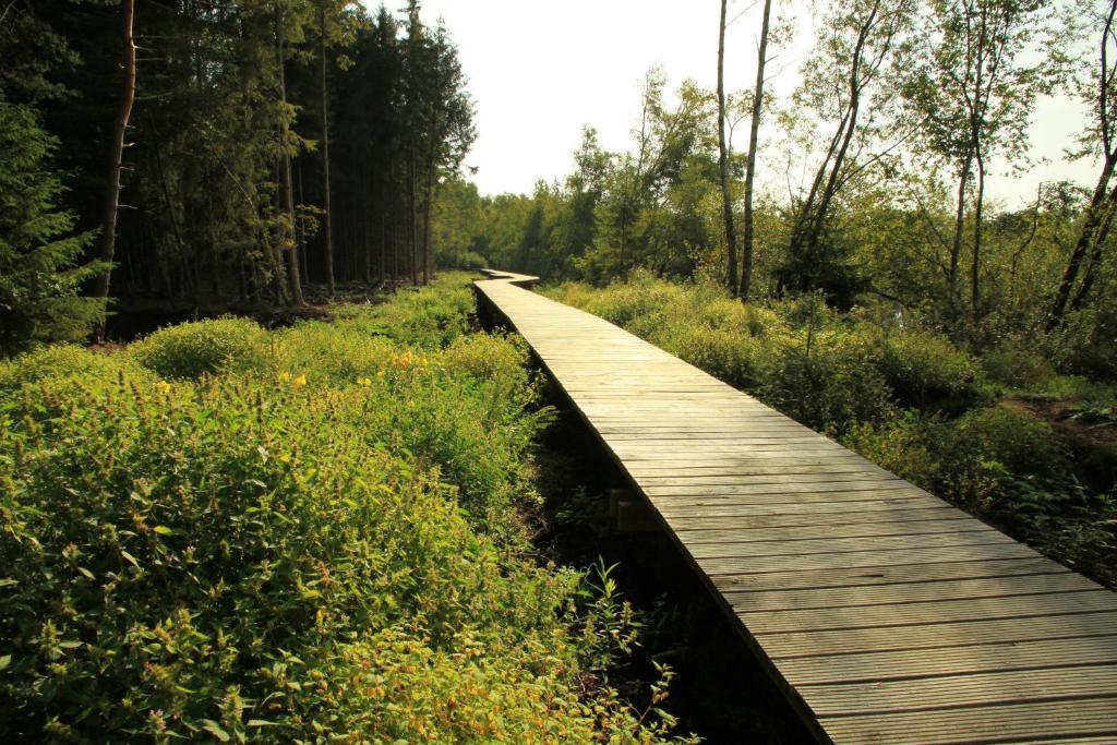 Landhotel Alte Muhle Ostrach Zewnętrze zdjęcie