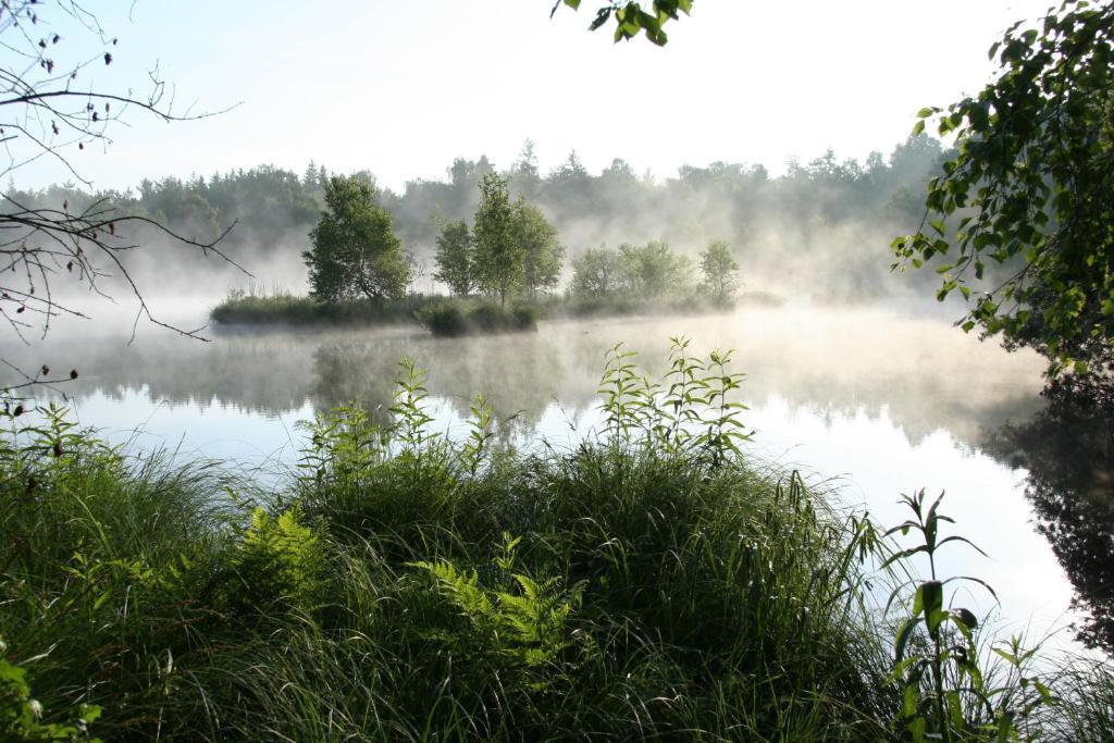 Landhotel Alte Muhle Ostrach Zewnętrze zdjęcie